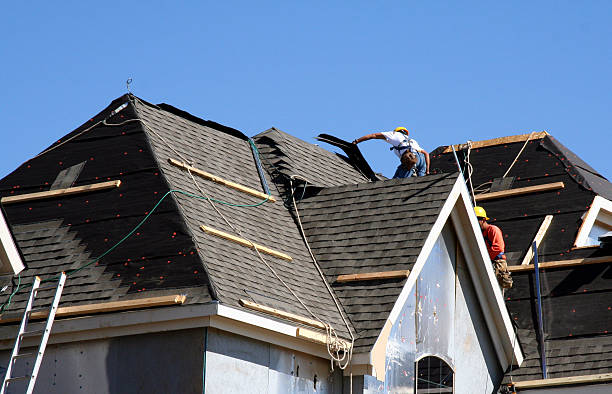 Best Storm Damage Roof Repair  in Carrollton, OH