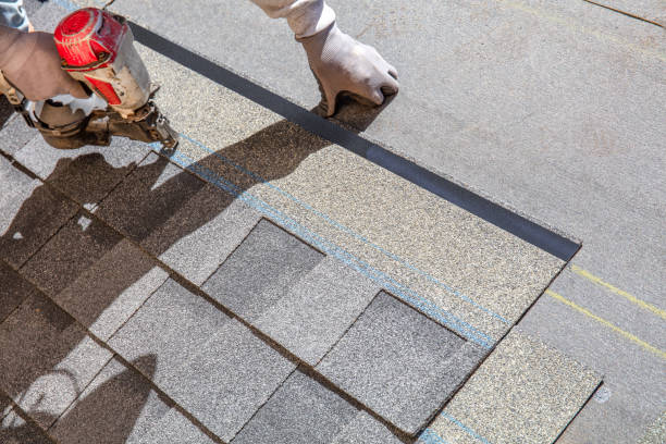 Best Roof Leak Repair  in Carrollton, OH
