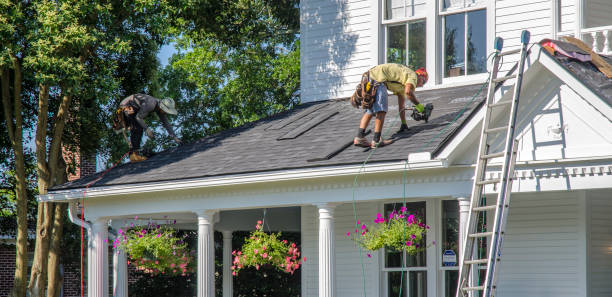 Best Roof Gutter Cleaning  in Carrollton, OH